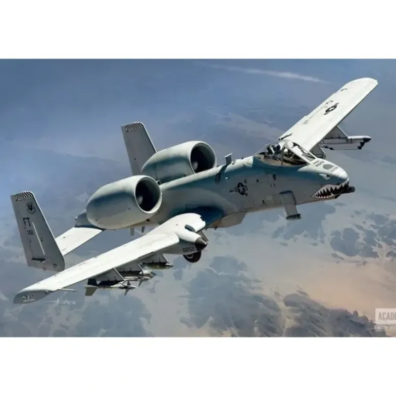 Academy 1/48 USAF A-10C "75th FS Flying Tigers" - Little Painter Art | Exploring the Endless Possibilities of Art| Shop All