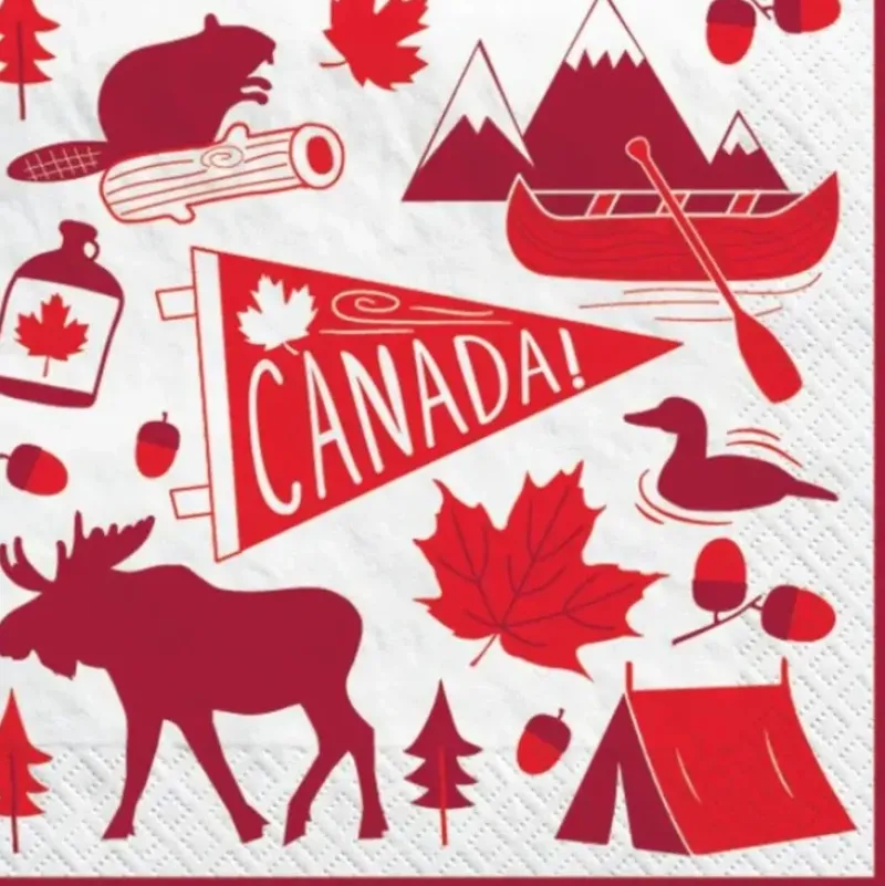 Amscan Lunch Napkins 20pk - Canadian Pride - Little Painter Art | Exploring the Endless Possibilities of Art| Shop All