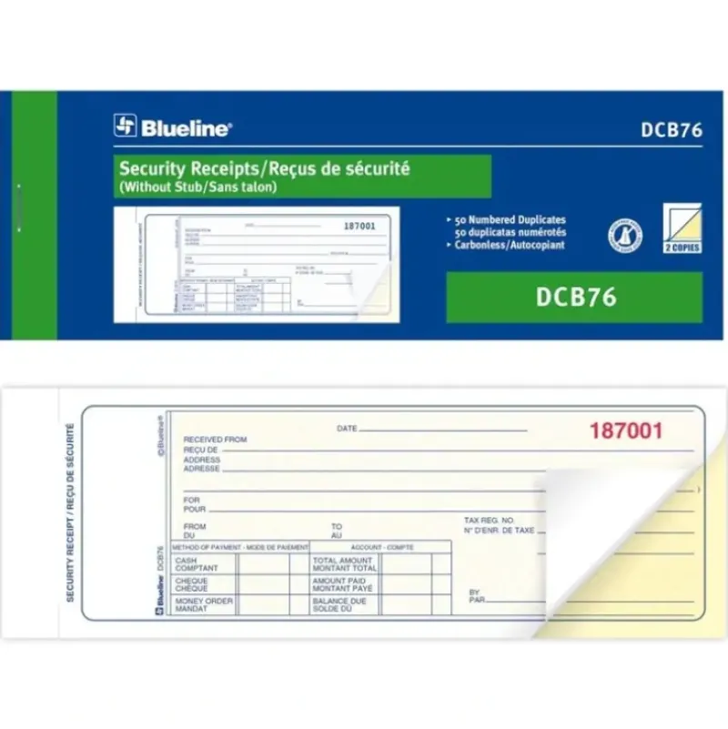 Blueline Security Receipts Book 2.75" x 8" - Little Painter Art | Exploring the Endless Possibilities of Art| Shop All