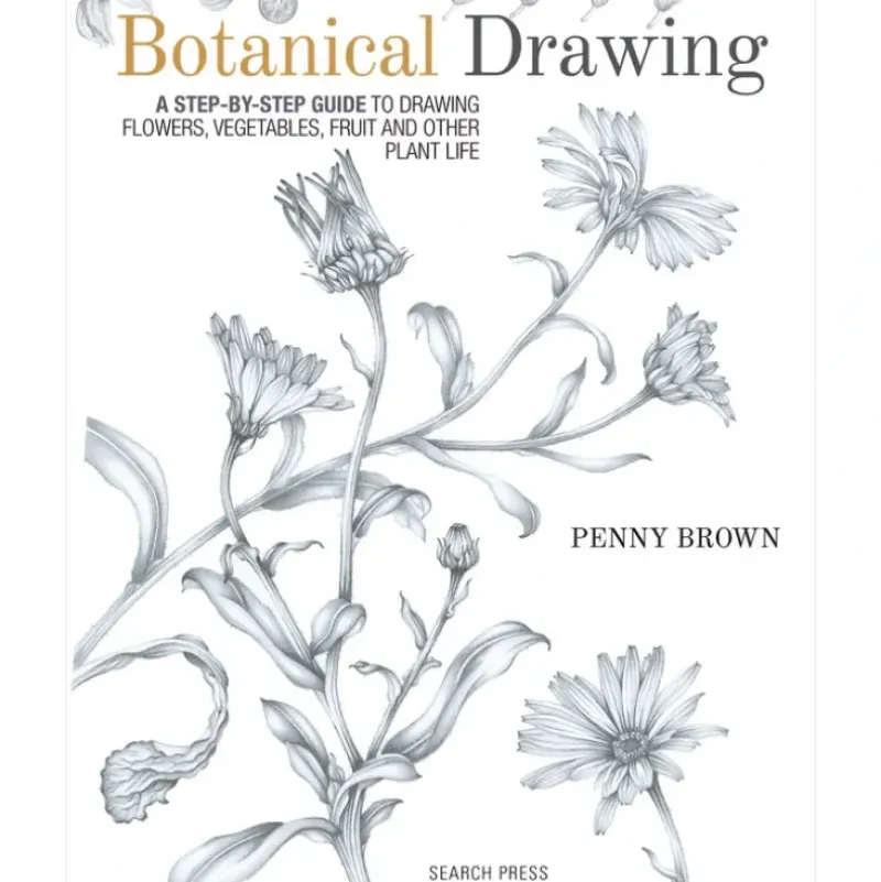 Botanical Drawing - P. Brown - Little Painter Art | Exploring the Endless Possibilities of Art| Shop All