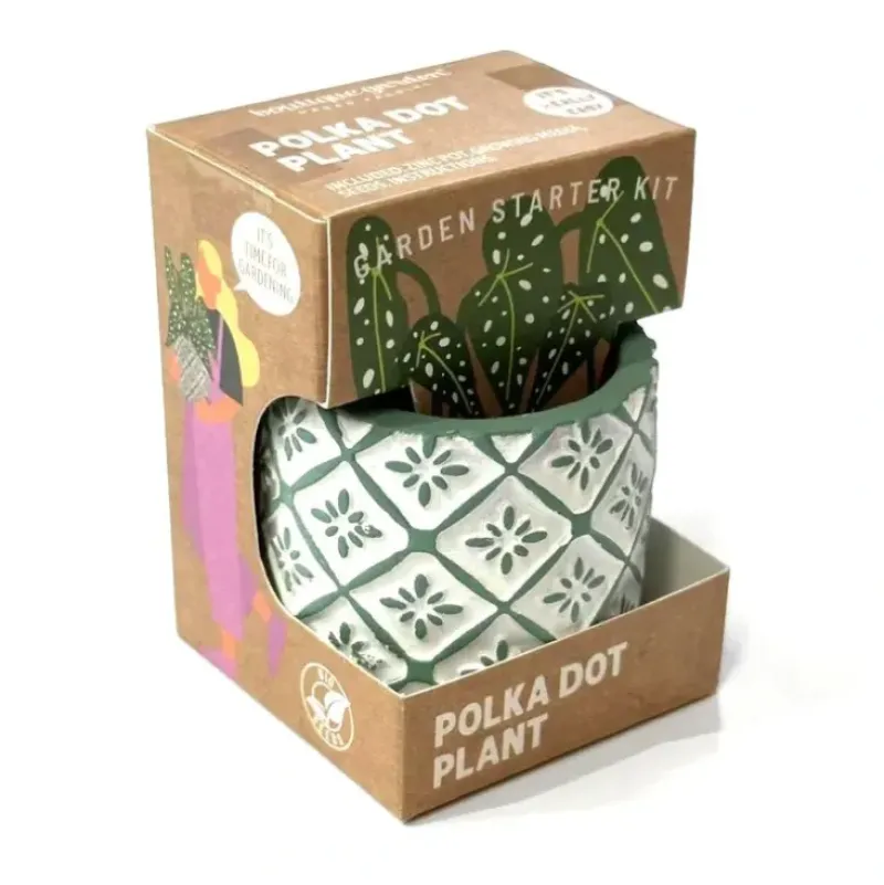 Boutique Garden Starter Kit - Polka Dot Plant - Little Painter Art | Exploring the Endless Possibilities of Art| Shop All