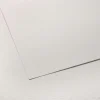 Canson C Grain Drawing Sheet, 19.5" x 25.5", 111lb / 180g - Little Painter Art | Exploring the Endless Possibilities of Art| Shop All