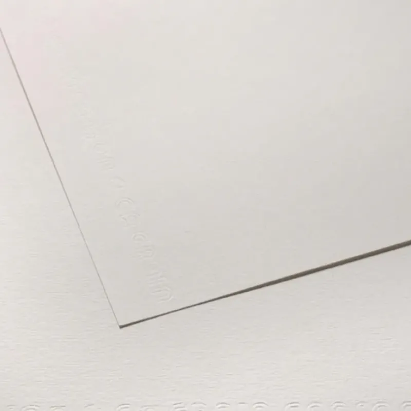 Canson C Grain Drawing Sheet, 19.5" x 25.5", 111lb / 180g - Little Painter Art | Exploring the Endless Possibilities of Art| Shop All
