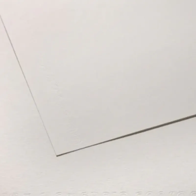 Canson CA Grain 224 Sheet Light Grain Paper 100 Pack - Little Painter Art | Exploring the Endless Possibilities of Art| Shop All