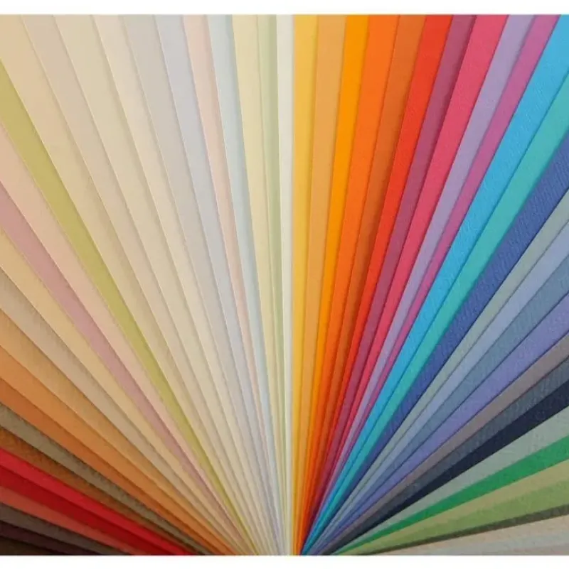 Canson Mi-Teintes Pastel Drawing Paper Sheets 160gsm Pack 25 (Discontinued) - Little Painter Art | Exploring the Endless Possibilities of Art| Canvas