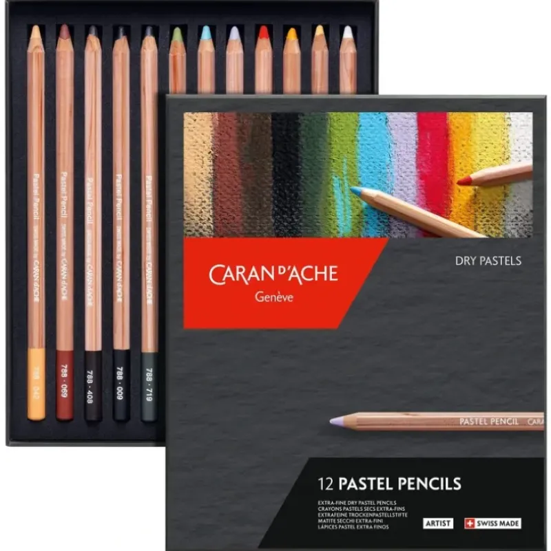 Caran d'Ache Dry Pastel Pencils - Set of 12 - Little Painter Art | Exploring the Endless Possibilities of Art| Pigment