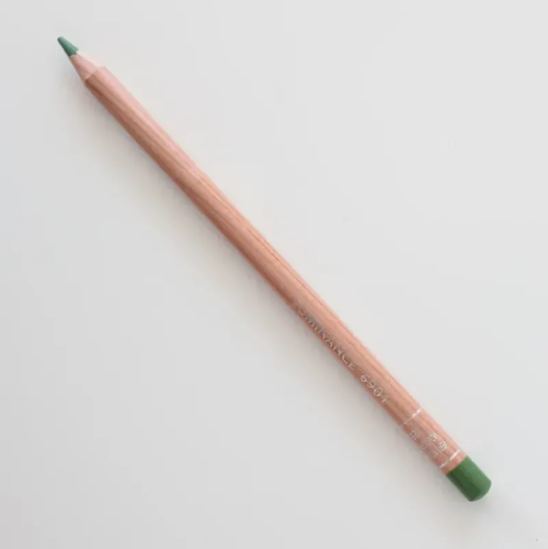 Caran d'Ache Luminance 6901 225 Moss Green - Little Painter Art | Exploring the Endless Possibilities of Art| Pigment