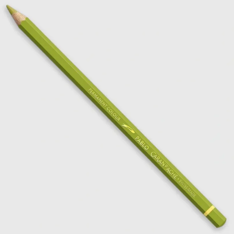 Caran d'Ache Pablo 016 Khaki Green - Little Painter Art | Exploring the Endless Possibilities of Art| Shop All