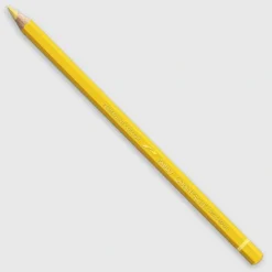 Caran d'Ache Pablo 021 Naples Yellow - Little Painter Art | Exploring the Endless Possibilities of Art| Shop All