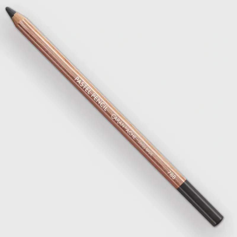 Caran d'Ache Pastel 008 Greyish Black - Little Painter Art | Exploring the Endless Possibilities of Art| Shop All