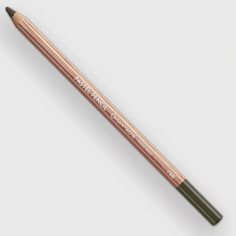 Caran d'Ache Pastel 495 Slate Grey - Little Painter Art | Exploring the Endless Possibilities of Art| Shop All