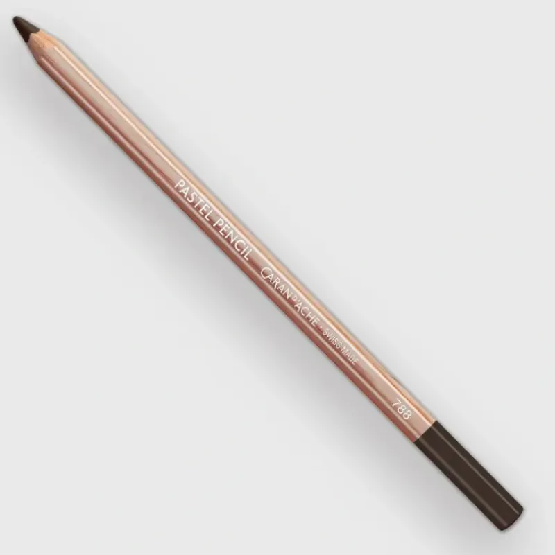 Caran d'Ache Pastel 748 Warm earth 70% - Little Painter Art | Exploring the Endless Possibilities of Art| Shop All
