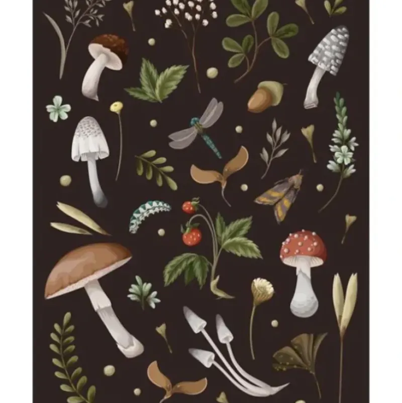Chartwell Books Mushroom Journal - Little Painter Art | Exploring the Endless Possibilities of Art| Shop All
