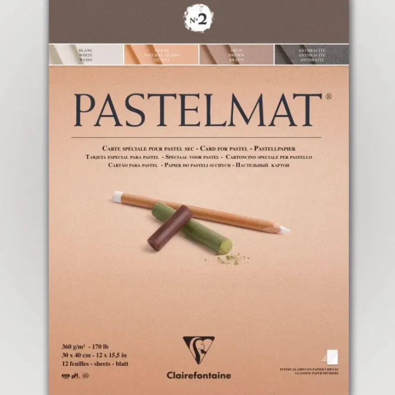 Clairefontaine Pastelmat N2 360g 30x40 ass 12 sheets - Little Painter Art | Exploring the Endless Possibilities of Art| Pigment