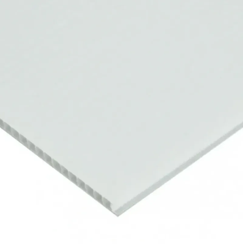 Coroplast Corrugated Plastic Sheet 4mm - 24" x 36", White - Little Painter Art | Exploring the Endless Possibilities of Art| Shop All
