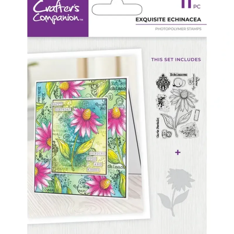 Crafter's Companion - 4 x 6" Photopolymer Stamp with Mask - Exquisite Echinacea - Little Painter Art | Exploring the Endless Possibilities of Art| Shop All