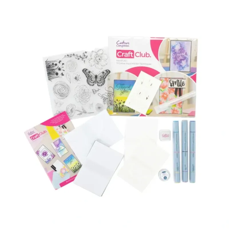 Crafter's Companion Monthly Craft Club - Aqua Techniques - Little Painter Art | Exploring the Endless Possibilities of Art| Shop All