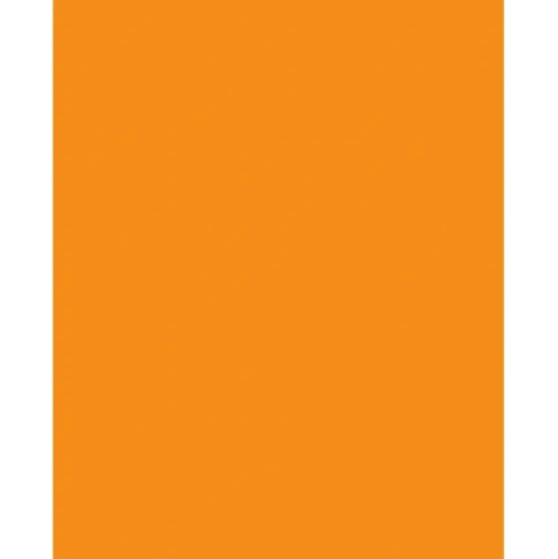 CTG 22x28" Poster/Bristol Board, Orange - Little Painter Art | Exploring the Endless Possibilities of Art| Shop All