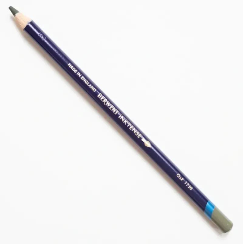 Derwent Inktense 1730 Oak - Little Painter Art | Exploring the Endless Possibilities of Art| Shop All