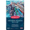 Derwent Inktense Blocks 12 Tin Set - Little Painter Art | Exploring the Endless Possibilities of Art| Shop All