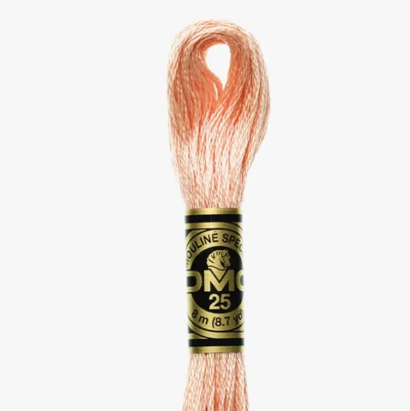 DMC Moulin Spcial 754 - Little Painter Art | Exploring the Endless Possibilities of Art| Shop All