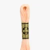 DMC Moulin Spcial 20 - Little Painter Art | Exploring the Endless Possibilities of Art| Shop All