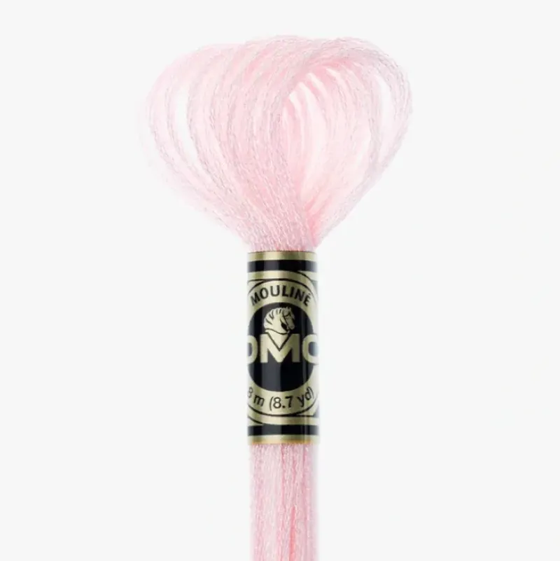 DMC Mouline Effet Lumire E818 - Little Painter Art | Exploring the Endless Possibilities of Art| Shop All