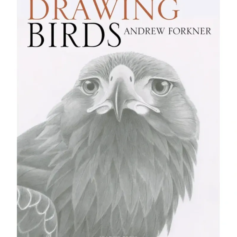 Shop All^Drawing Birds - A. Forkner - Little Painter Art | Exploring the Endless Possibilities of Art