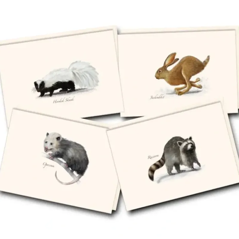Hot^Earth Sky + Water Notecards 8pk - Small Mammals - Little Painter Art | Exploring the Endless Possibilities of Art