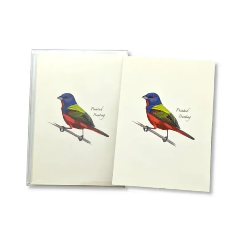 Hot^Earth Sky + Water Notecards 8pk - Painted Bunting - Little Painter Art | Exploring the Endless Possibilities of Art