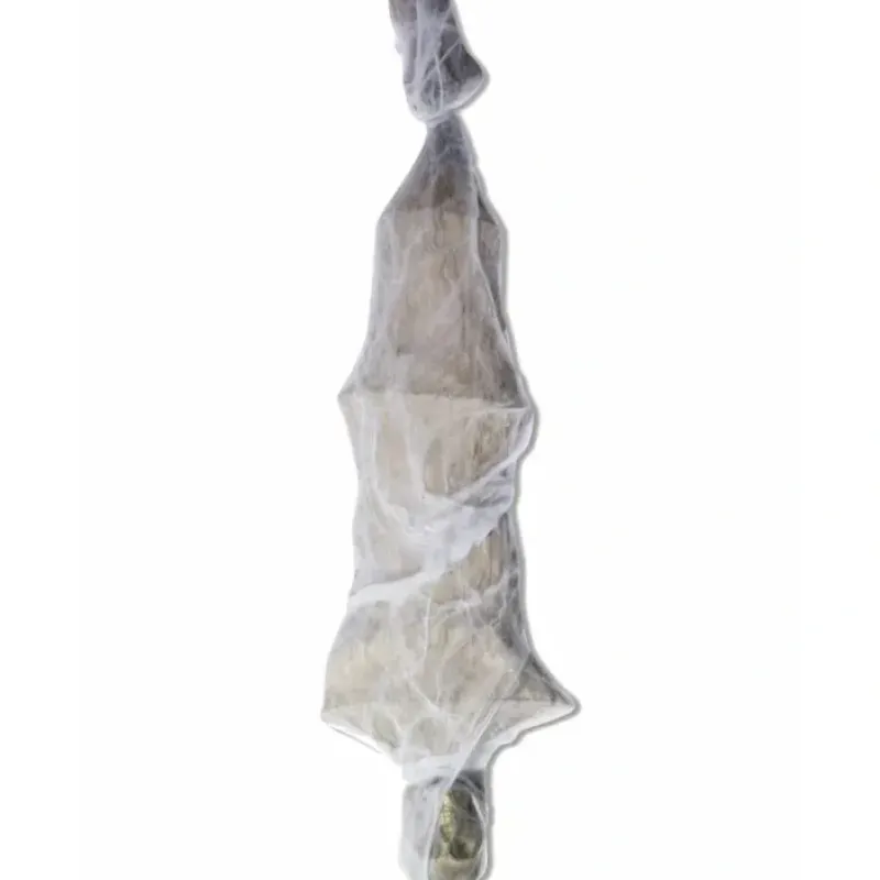 Shop All^Forum Novelties Hanging Cocoon Skeleton 72" - Little Painter Art | Exploring the Endless Possibilities of Art