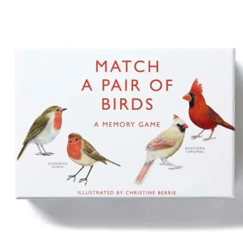 Shop All^Laurence King Match a Pair of Birds Memory Game - Little Painter Art | Exploring the Endless Possibilities of Art